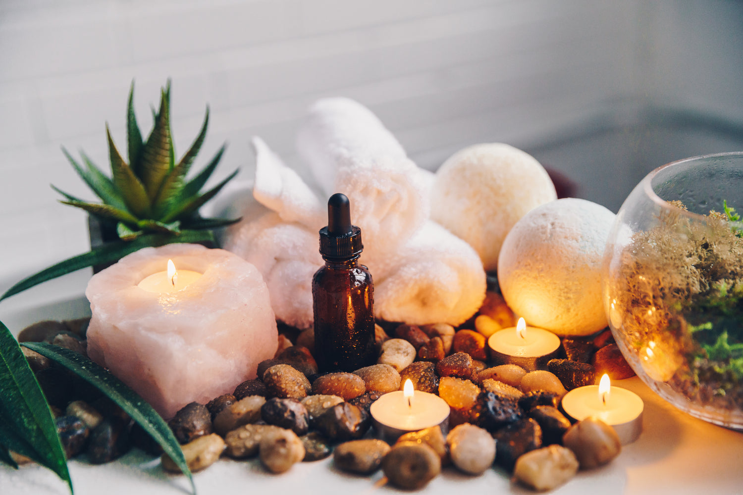 Revisiting the Therapeutic Effects of Essential Oils on the Oral Microbiome.