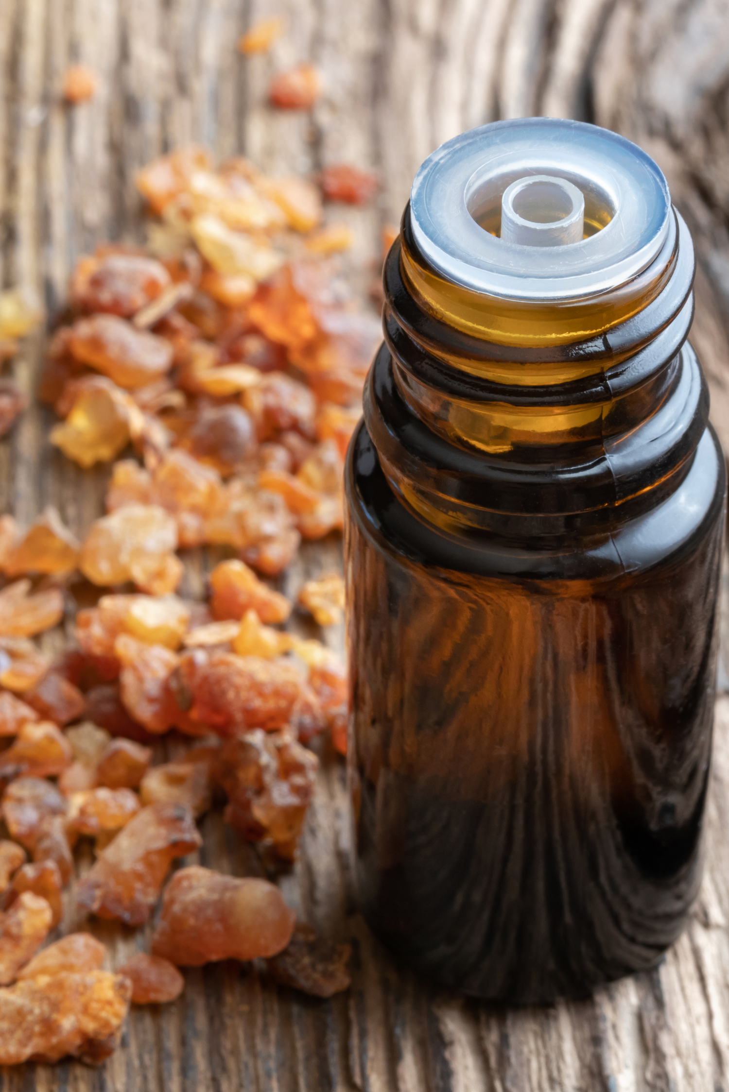 Myrrh Oil Reduces Gingival Inflammation and Inhibits Gram Negative Dental Plaque Bacteria at Early Stages – A Randomized Control Trial