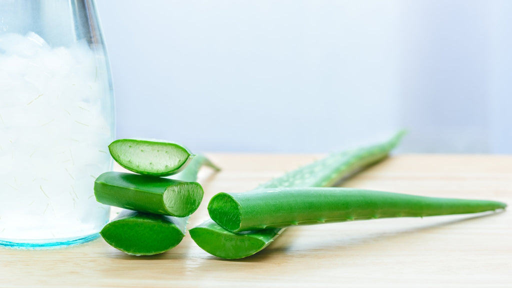 Benefits of Aloe Vera in mouthwash - truthpaste