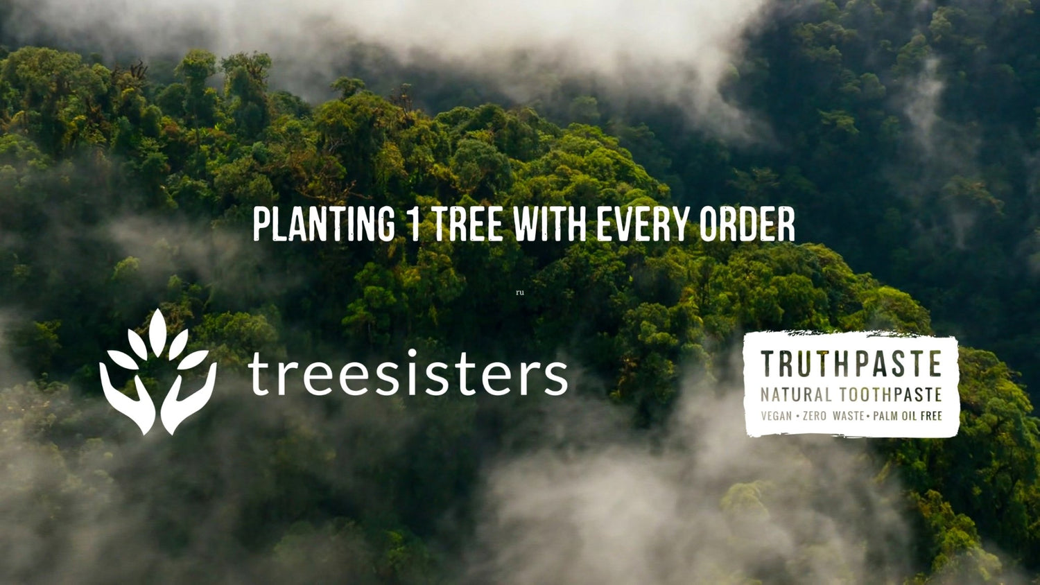 Restoring our planet with TreeSisters - truthpaste
