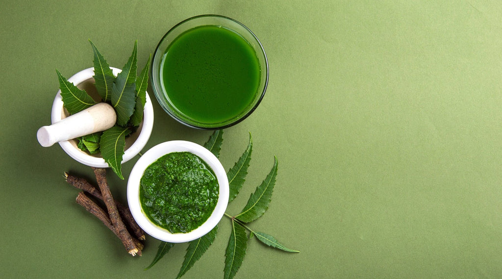 What is neem oil and why is it in our toothpaste? - truthpaste