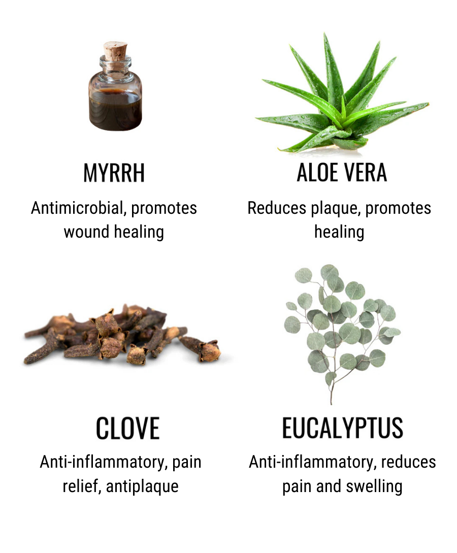 myrrh - antimicrobial / promotes wound healing. Aloe Vera - reduces plaque / promotes healing. Clove - anti-inflammatory, pain relief, antiplaque. Eucalyptus - Anti-inflammatory, reduces pain and swelling
