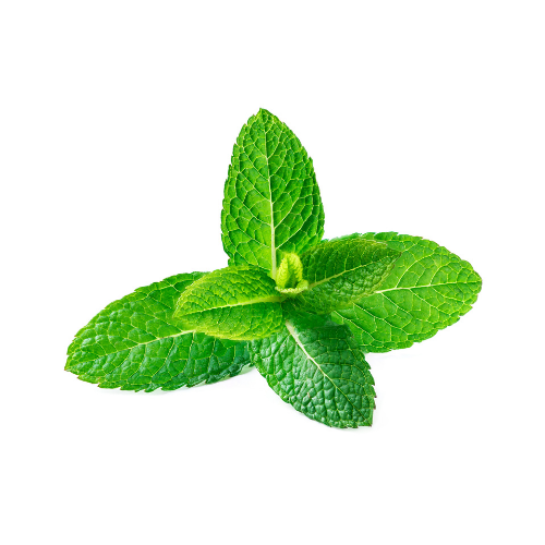 Spearmint