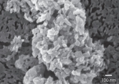 Repair, Rebuild, Remineralise.