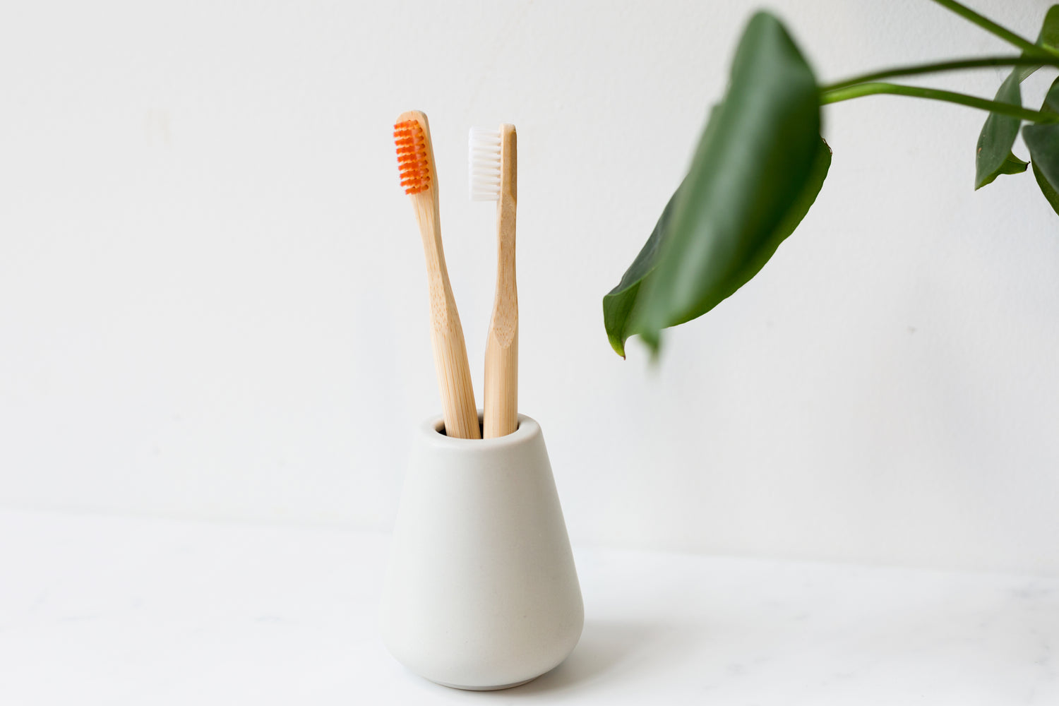 Naturally Durable Bamboo Toothbrushes