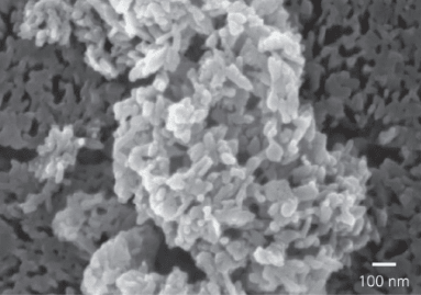 Enamel Repair Duo - truthpaste