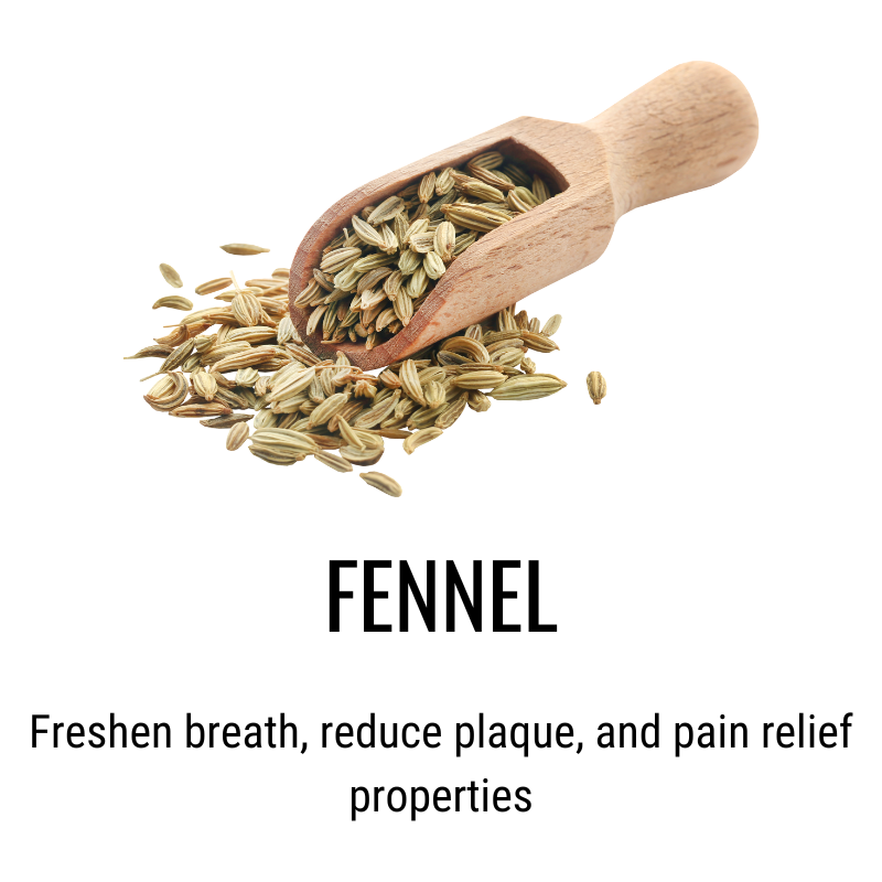 Comforting Fennel